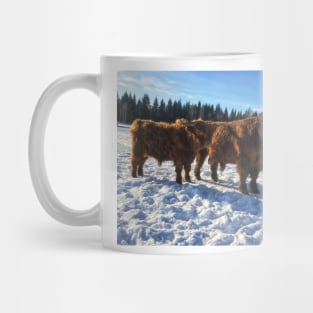 Scottish Highland Cattle Bulls 1937 Mug